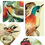 Nunn Design Nature Collage Sheet