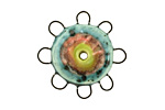 Jangles Ceramic Turquoise, Pink, Chartreuse Small Pinwheel 27-28mm