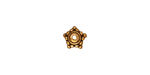 TierraCast Antique Gold (plated) Beaded Star Bead Cap 4x8mm
