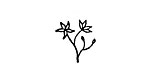 Trout Lily Mini Rubber Stamp 14x16mm