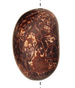 Tagua Nut Espresso Nugget 40-45x32-36mm