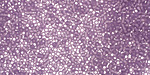 TOHO Transparent Frosted Sugar Plum Round 15/0 Seed Bead