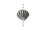 Pewter Clamshell 12x14mm
