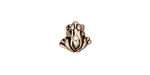 TierraCast Antique Silver (plated) Frog 7x10mm