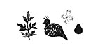 Partridge in a Pear Tree Rubber Stamp Set