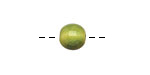 Tagua Nut Apple Round 9mm