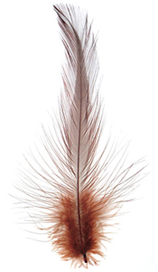 Chestnut Neck Hackle Feather 100-152mm