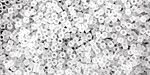 TOHO Transparent Frosted Crystal Treasure #1 Seed Bead