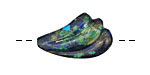 Azurite Malachite Carved Wing 24x15mm