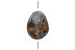 Humble Beads Polymer Clay Blue Egg 19-22x14-15mm