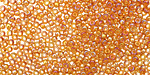 TOHO Transparent Rainbow Topaz Round 11/0 Seed Bead