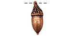Ezel Findings Antique Copper Acorn Pendant 9x23mm