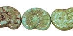 Czech Glass Turquoise Picasso Ammonite 20x13mm