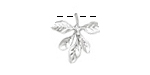 Ezel Findings Rhodium (plated) Barberry Leaves Pendant 17mm