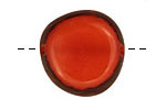 Tagua Nut Orange Banana Chip 22-29x16-22mm