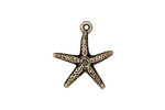 TierraCast Antique Brass (plated) Starfish Charm 17x20mm