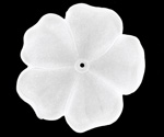 Matte Crystal Lucite 5 Petal Flower 10x36mm