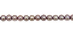 Wild Orchid Semi-Round 4.5-5mm