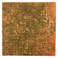 Lillypilly Verde Bamboo Embossed Patina Copper Sheet 3"x3", 36 gauge