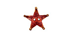 Patricia Healey Copper Star Button 17mm