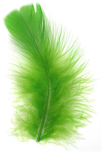 Chartreuse Turkey Flat Feather 100-152mm