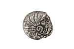Green Girl Pewter Nautilus Button 20mm