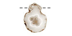 Solar Quartz Freeform Drop Slice 12-18x13-22mm