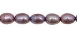 Wild Orchid Rice 9-11mm