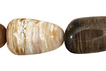 Black Petrified Wood Tumbled Nugget 25-27x15-17mm