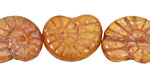 Czech Glass Butterscotch Ammonite 20x13mm