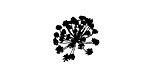Queen Anne's Lace Mini Rubber Stamp 15x16mm