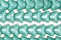 Czech Glass Luster Blue Green Bellflower 6x7mm