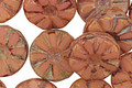 Czech Glass Rose Picasso Flower Window Coin 12mm