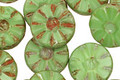 Czech Glass Apple Green Picasso Flower Window Coin 12mm
