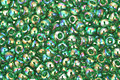 TOHO Transparent Rainbow Grass Green Round 11/0 Seed Bead