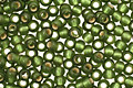 TOHO Olive (with Frosted Silver Lining) Round 11/0 Seed Bead