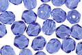 Czech Fire Polished Glass Sapphire Round 6mm