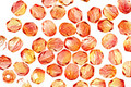 Czech Fire Polished Glass Dual Coated Fuschia/Lemon Round 4mm