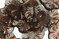 Czech Glass Copper Smoky Crystal 5 Petal Daisy 14mm