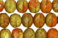 Czech Glass Pumpkin Patch Fire Polished Rondelle 6x9mm