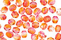 Czech Fire Polished Glass Dual Coated Fuschia/Cantaloupe Round 4mm