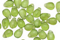 Czech Glass Bottle Green Teardrop 4x6mm