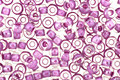 TOHO Crystal (with Wisteria Lining) Round 11/0 Seed Bead
