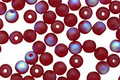 Czech Glass Matte Ruby AB Round 4mm