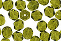 Czech Fire Polished Glass Olivine Round 6mm