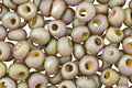 TOHO Opaque Rainbow Frosted Khaki Magatama 3mm Seed Bead