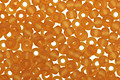 TOHO Transparent Frosted Dark Topaz Round 11/0 Seed Bead