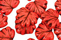 Czech Glass Pink Silk Picasso Maple Leaf 10x13mm