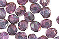 Czech Fire Polished Glass Luster Transparent Amethyst Round 6mm