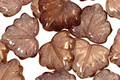 Czech Glass Smoky Crystal Luster Maple Leaf 10x13mm